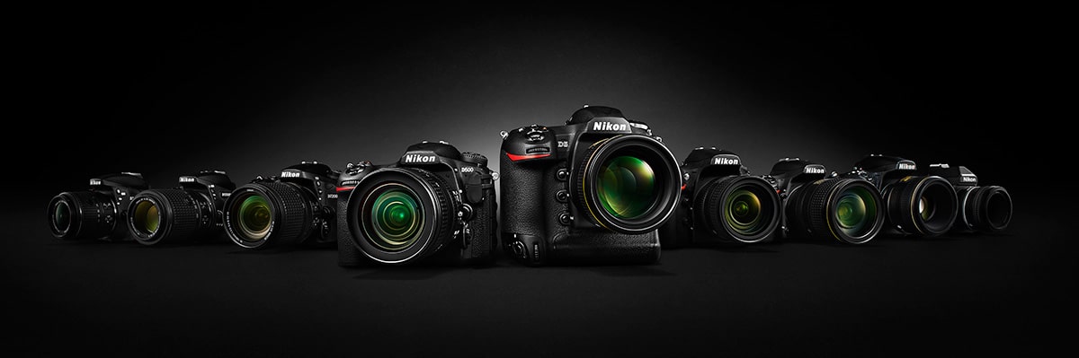 plafond romantisch convergentie Nikon camera's kopen? Advies van Thijs Schouten Fotografie