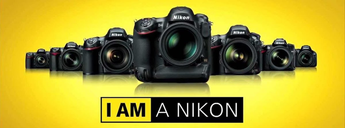plafond romantisch convergentie Nikon camera's kopen? Advies van Thijs Schouten Fotografie