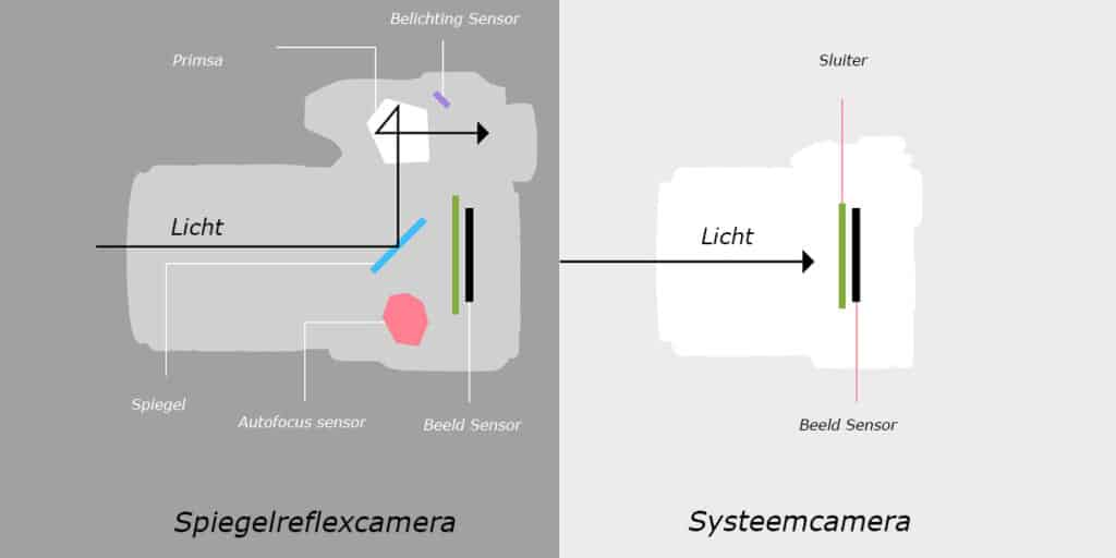 Voorkomen timmerman regelmatig Systeemcamera of spiegelreflexcamera kopen?