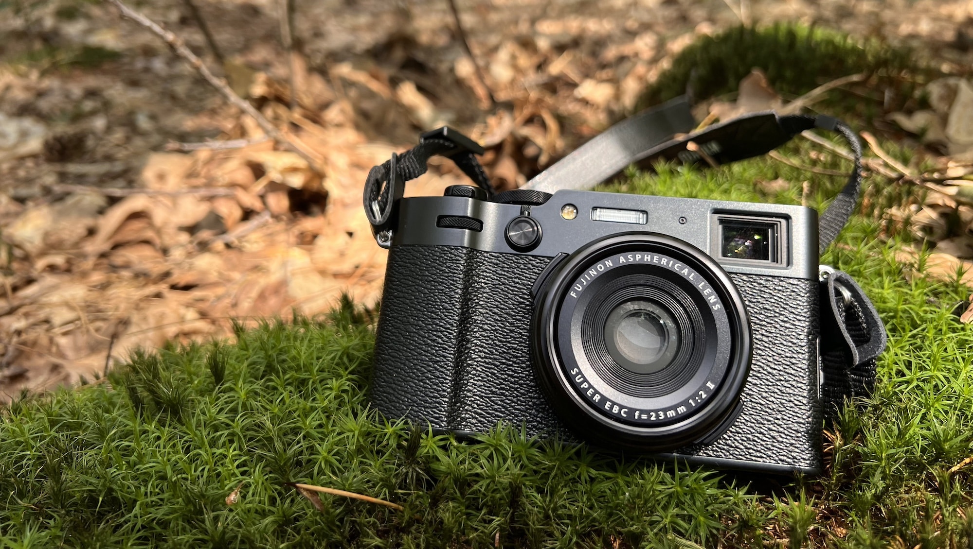 mijn Fujifilm X100VI in het bos