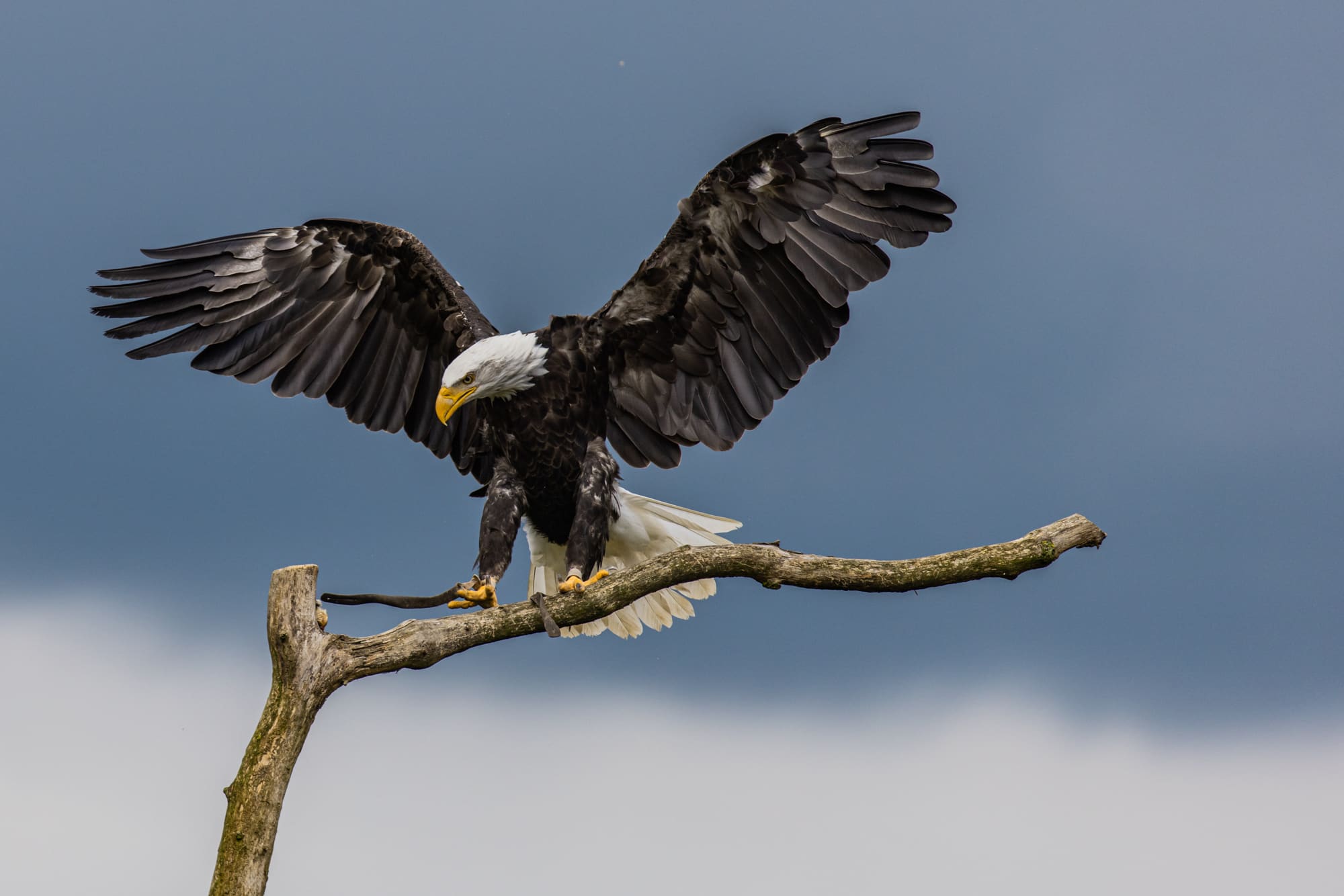 beekse bergen fotograferen