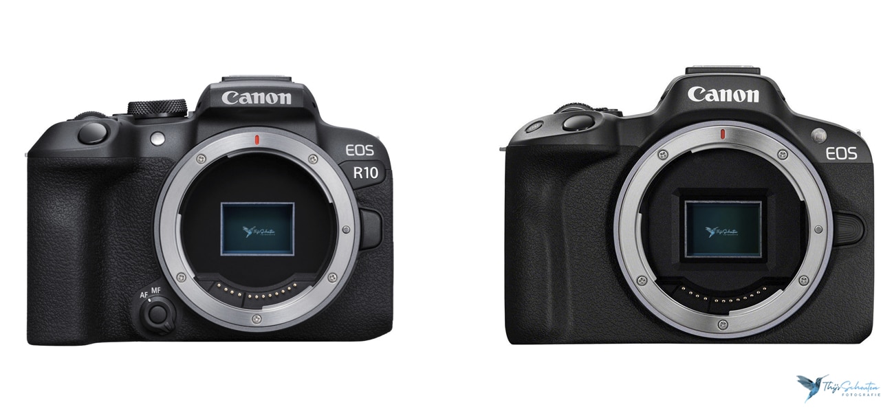 canon eos r10 vs r50