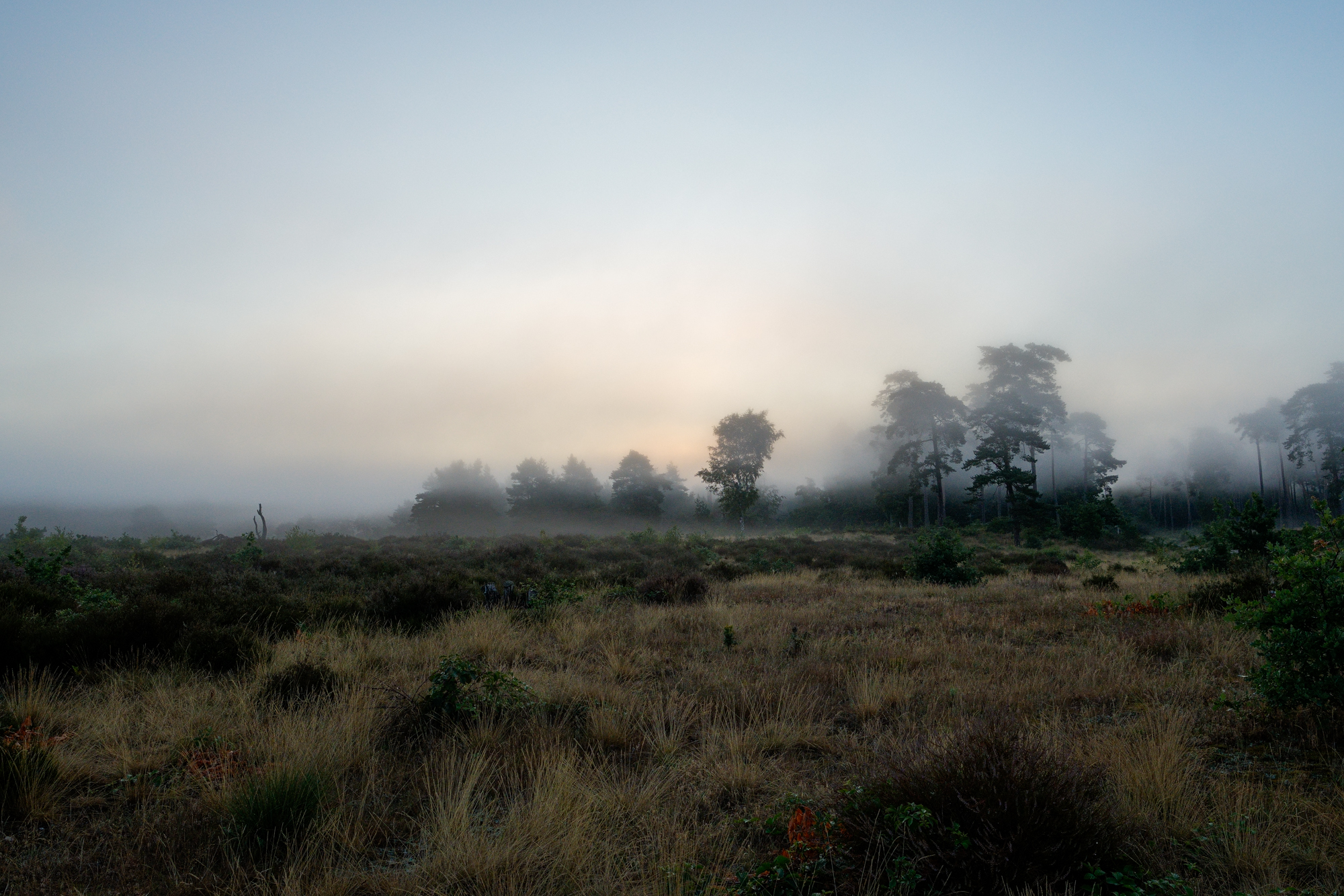 mist in de ochtend